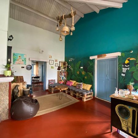 The Birdhouse Backpackers Hostel 乔奥诺奥尔 外观 照片